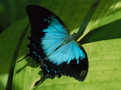 YDFPD00Z.jpg YDFPD00Z.jpg