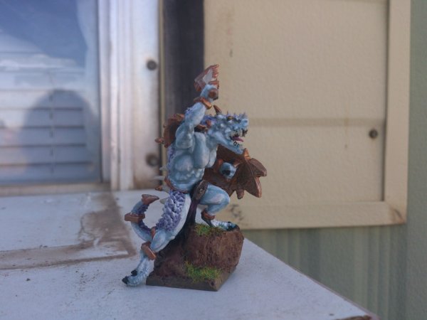 DSC_0351.jpg DSC_0351.jpg