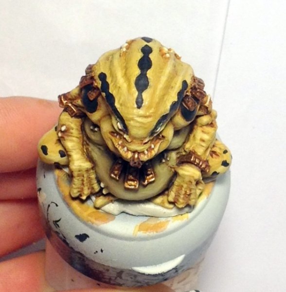 IMG_1584_zps5b66315f.jpg IMG_1584_zps5b66315f.jpg