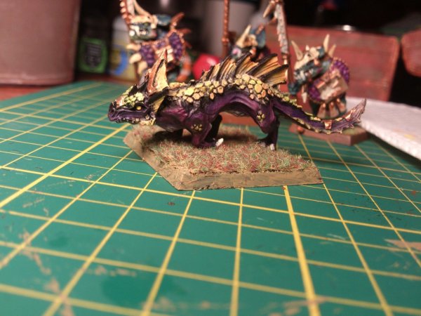 DSC_0542.jpg DSC_0542.jpg