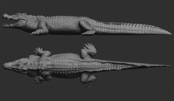 hight-detailed-crocodile-model-3d-model-fbx-ma-mb-ztl.jpg