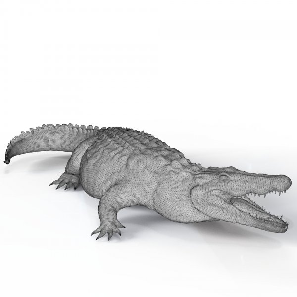 realistic-crocodile-high-res-3d-model-max-obj-mtl-fbx.jpg