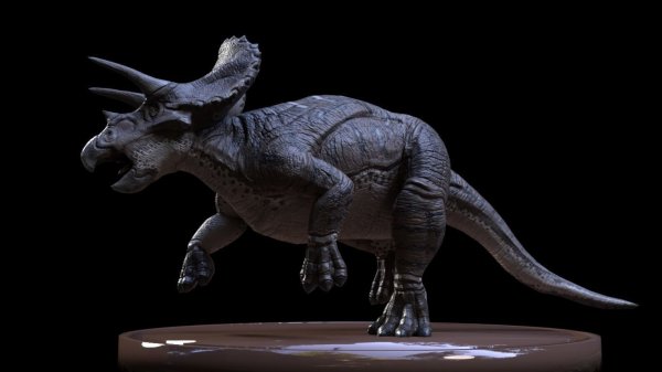 3d-triceratops-3d-model-low-poly-rigged-obj-fbx-blend-ztl.jpg