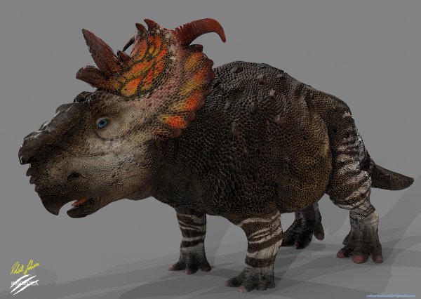 pachyrhinosaurus-3d-model-low-poly-obj-mtl.jpg