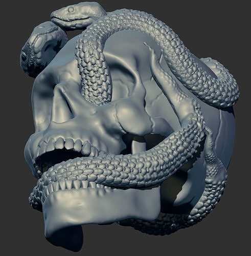 skull-with-snakes-3d-model-stl.jpg