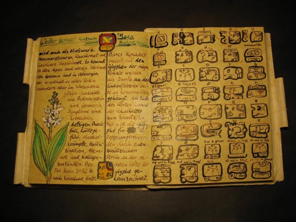 bopp_14_maya_glyphs_by_pgwainbenn-d8g892p.jpg