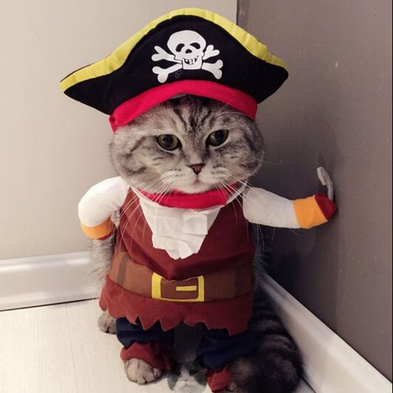 pirate-pinterest.jpg