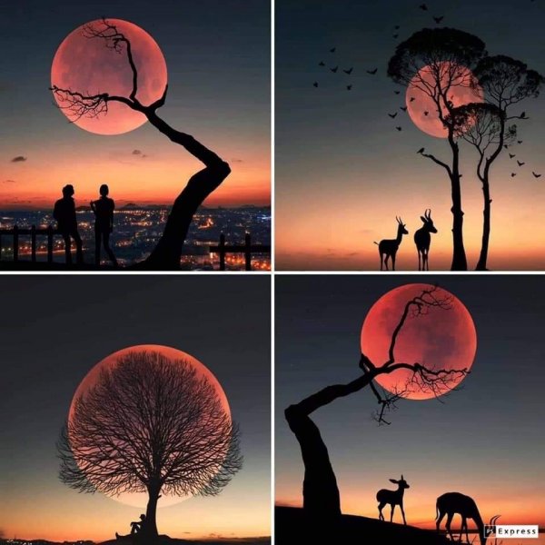 70912917_1215239911994191_6251966434298036224_n.jpg 70912917_1215239911994191_6251966434298036224_n.jpg