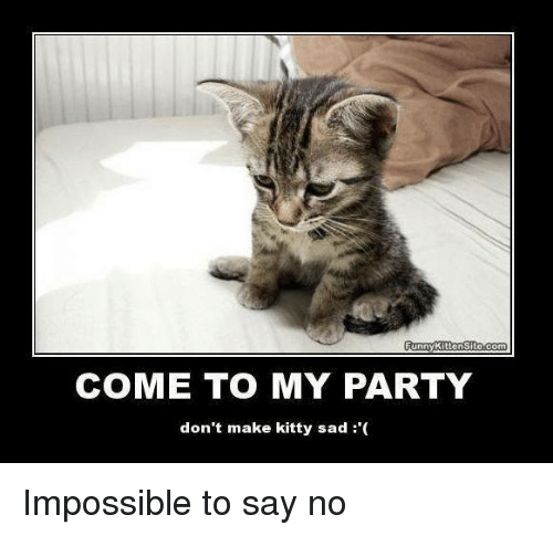 funny-kitten-site-com-come-to-my-party-dont-make-kitty-19480345.png