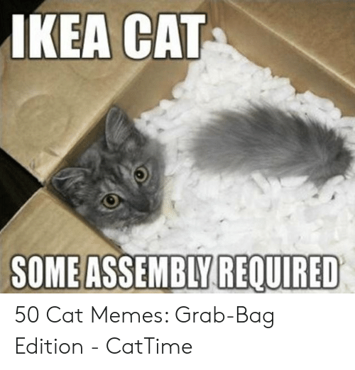 ikea-cat-someassembly-required-50-cat-memes-grab-bag-edition-48798601.png