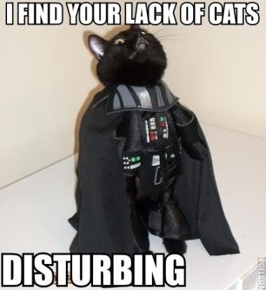 darth_kitty_i_find_your_lack_of_cats_disturbing.jpg