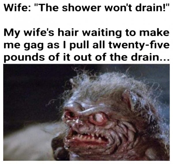 72731818_2689550147770056_8709507503722856448_n.jpg 72731818_2689550147770056_8709507503722856448_n.jpg