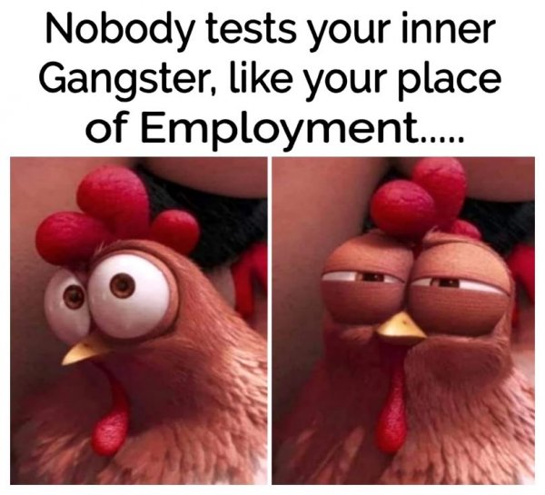 73017669_2684600501598354_7315741241226821632_n.jpg 73017669_2684600501598354_7315741241226821632_n.jpg