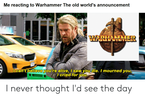 me-reacting-to-warhammer-the-old-worlds-announcement-warhammer-icant-65549468.png