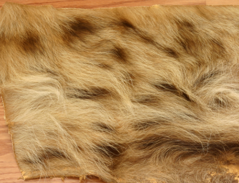 hyena fur.png