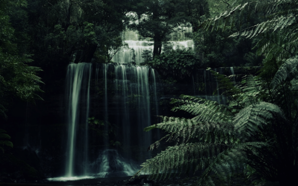 shadow falls 3.png
