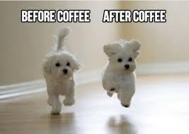 Puppers-Doggo-Coffee-Memes.jpg