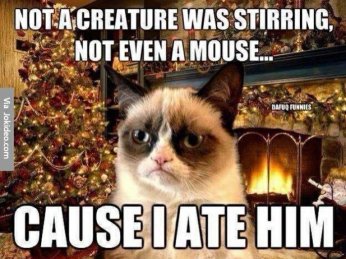 funny-christmas-grumpy-cat-meme1396164849.jpg