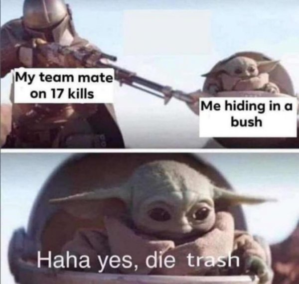 animal-my-team-mate-on-17-kills-hiding-bush-haha-yes-die-trash.jpg