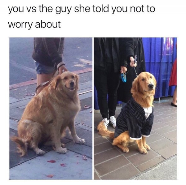 dog-meme-about-being-jealous-of-a-better-looking-guy.jpg