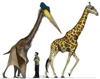 azhdarchidae giant pterodactyl.jpg