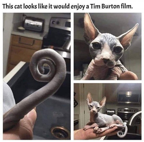 83621731_2806427829404318_4541666824458076160_o.jpg 83621731_2806427829404318_4541666824458076160_o.jpg