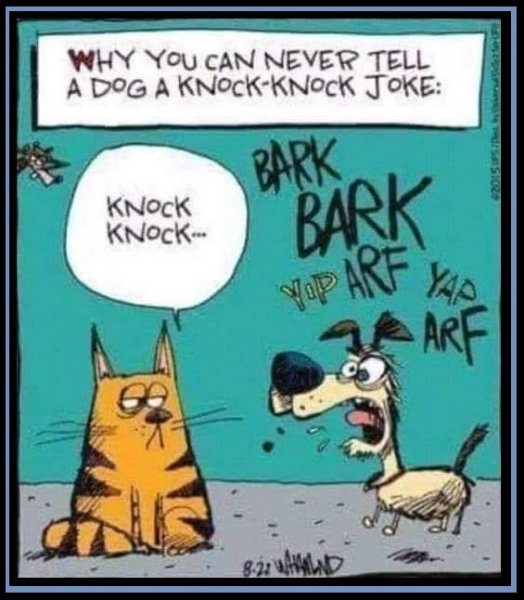 82162832_2553255251622170_4086633963072782336_n.jpg 82162832_2553255251622170_4086633963072782336_n.jpg