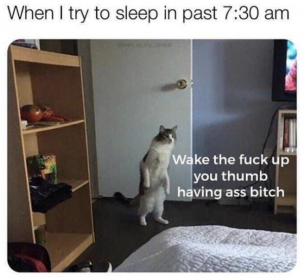 screen-shot-2020-02-05-at-8-07-10-pm.png screen-shot-2020-02-05-at-8-07-10-pm.png