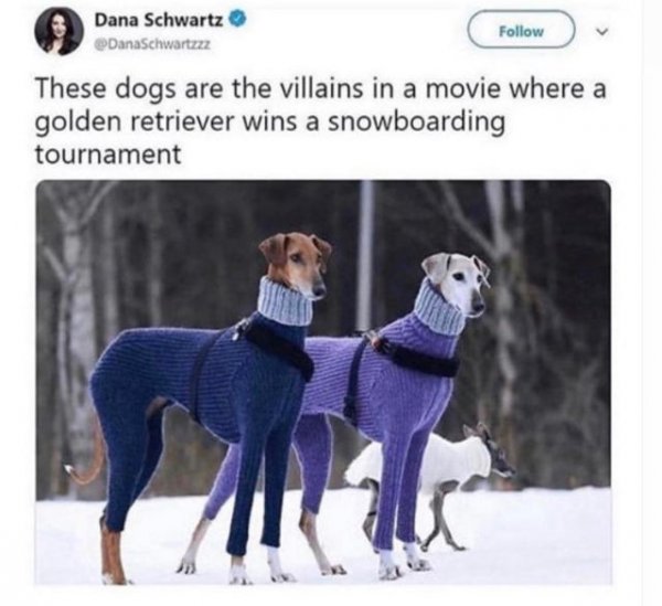 83067576_3888991841114510_3821064843692081152_n.jpg 83067576_3888991841114510_3821064843692081152_n.jpg