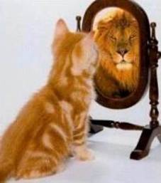 lion in the mirror.jpg