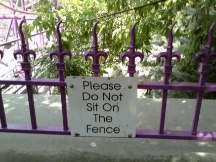 don't sit on fence.jpg