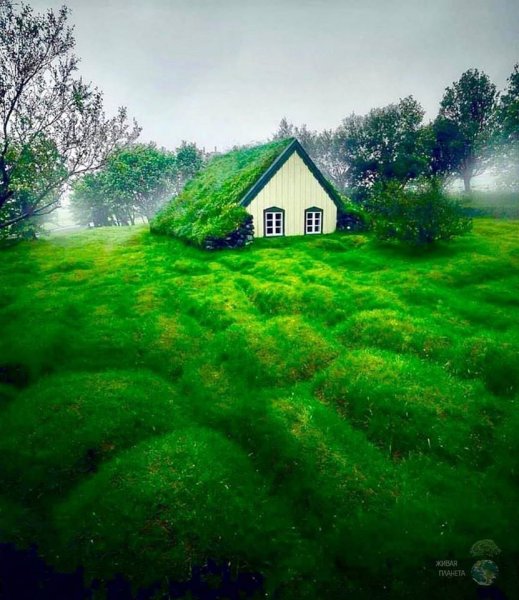 82159534_119654186211614_7024170157907902464_o.jpg 82159534_119654186211614_7024170157907902464_o.jpg