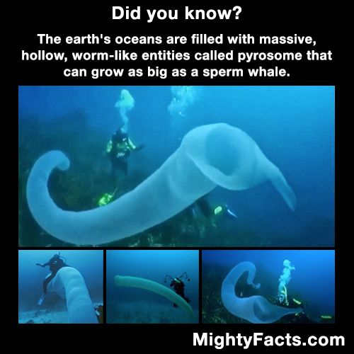 9322fff392475c49c0b0281b8aab91fe.jpg 9322fff392475c49c0b0281b8aab91fe.jpg