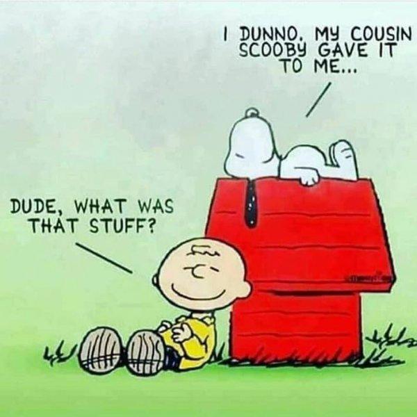 84023697_3191775110837200_5473119293929422848_n.jpg 84023697_3191775110837200_5473119293929422848_n.jpg