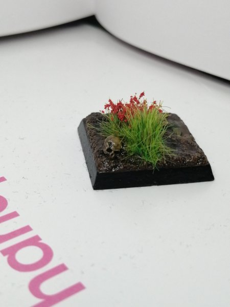 IMG_20200220_140437.jpg IMG_20200220_140437.jpg