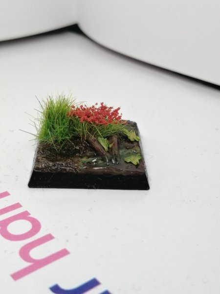 IMG_20200220_140448.jpg IMG_20200220_140448.jpg