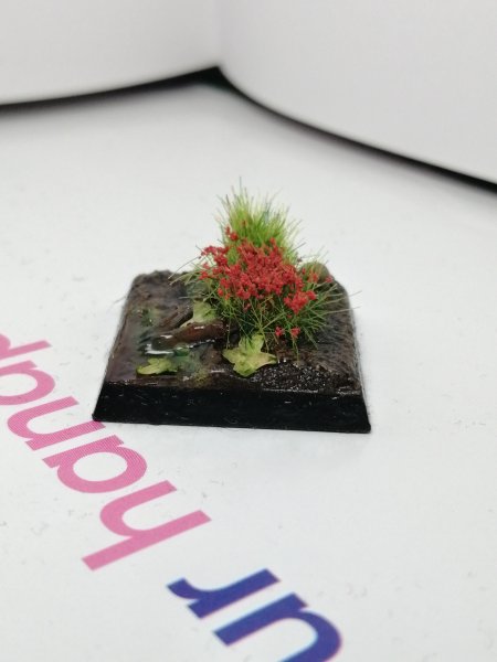 IMG_20200220_140456.jpg IMG_20200220_140456.jpg