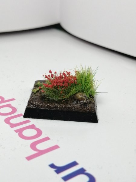 IMG_20200220_140503.jpg IMG_20200220_140503.jpg