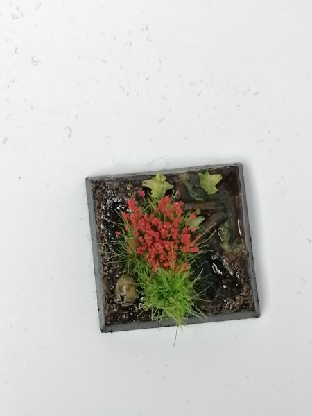 IMG_20200220_140521.jpg IMG_20200220_140521.jpg