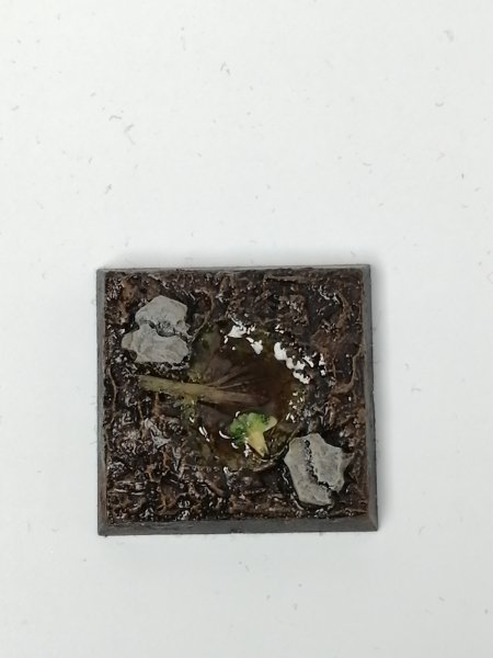 IMG_20200220_140600.jpg IMG_20200220_140600.jpg