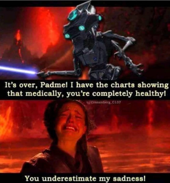 padme.jpg