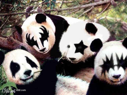 partypandas.jpg