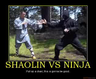 shaolin-vs-ninja-demotivational-poster.jpg