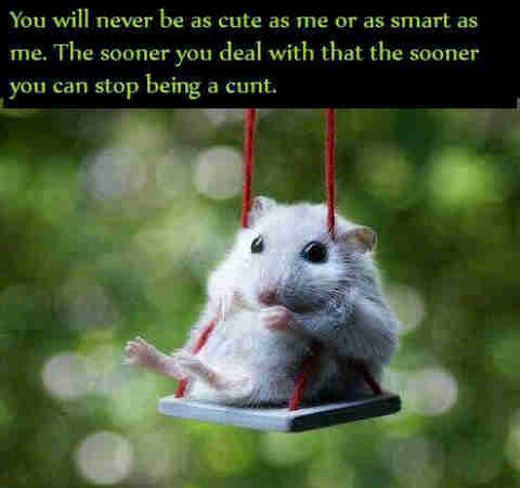 stop being a c~~t.jpg