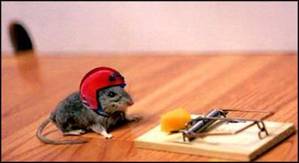 TAKE AN OCCASIONAL RISK.jpg