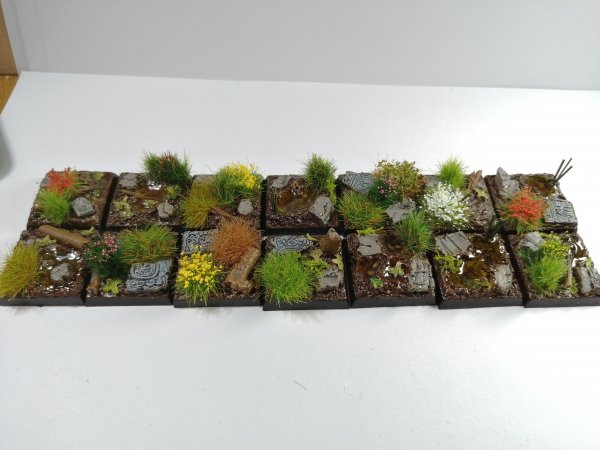 IMG_20200302_231721.jpg IMG_20200302_231721.jpg