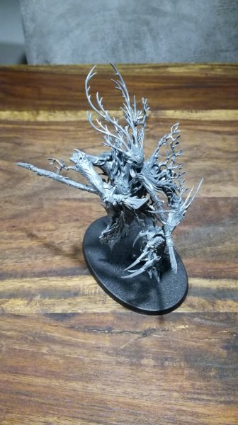 IMG_20200310_060803.jpg IMG_20200310_060803.jpg