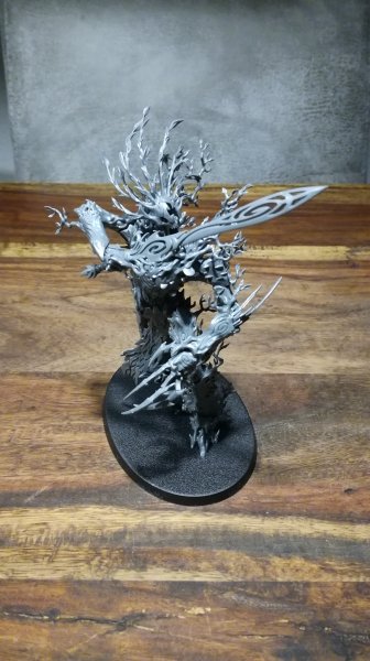 IMG_20200310_060839.jpg IMG_20200310_060839.jpg