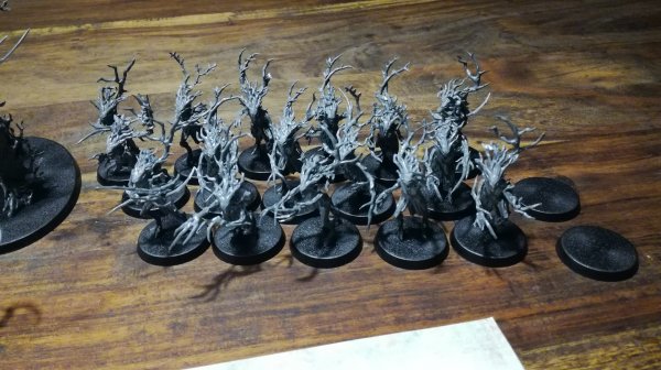 IMG_20200310_061140.jpg IMG_20200310_061140.jpg