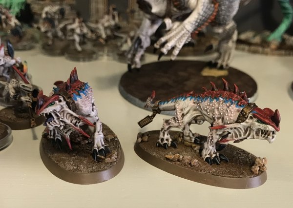 C29C13AA-6F96-48AC-9125-C37C38A41AB3.jpeg C29C13AA-6F96-48AC-9125-C37C38A41AB3.jpeg